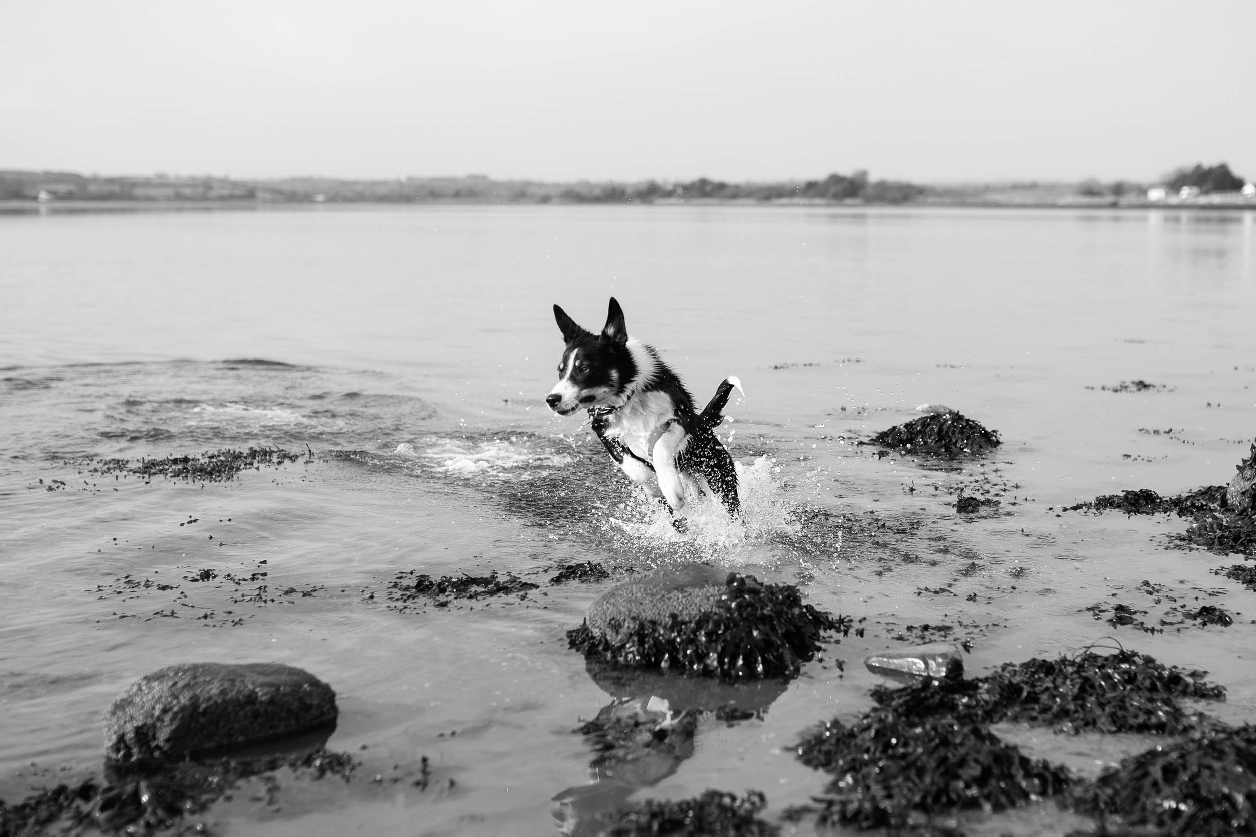 MARKOPHOTOGRAPHY_ABOUT_0004